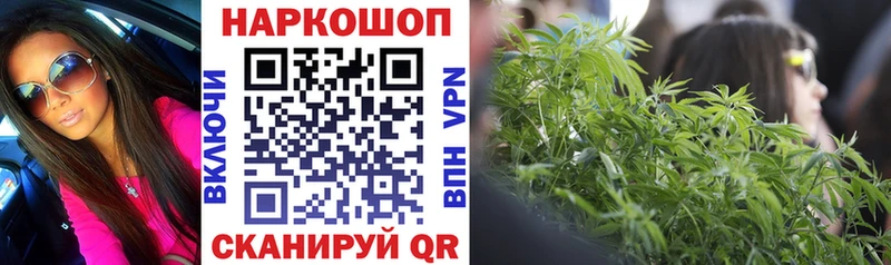 Виды наркотиков купить Сунжа Канабис  ГАШИШ 
