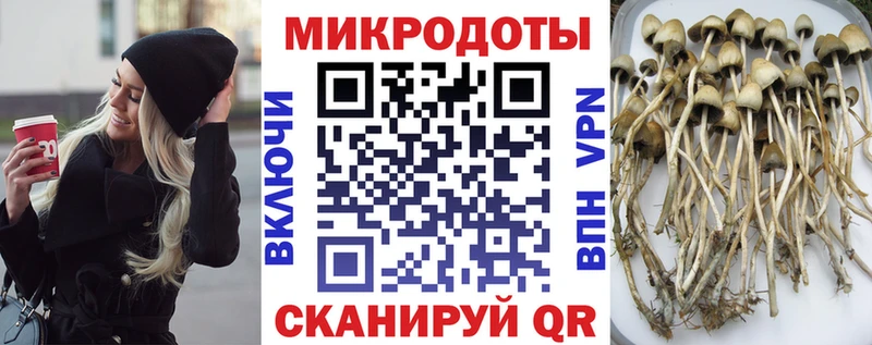 Псилоцибиновые грибы мухоморы  Сунжа 