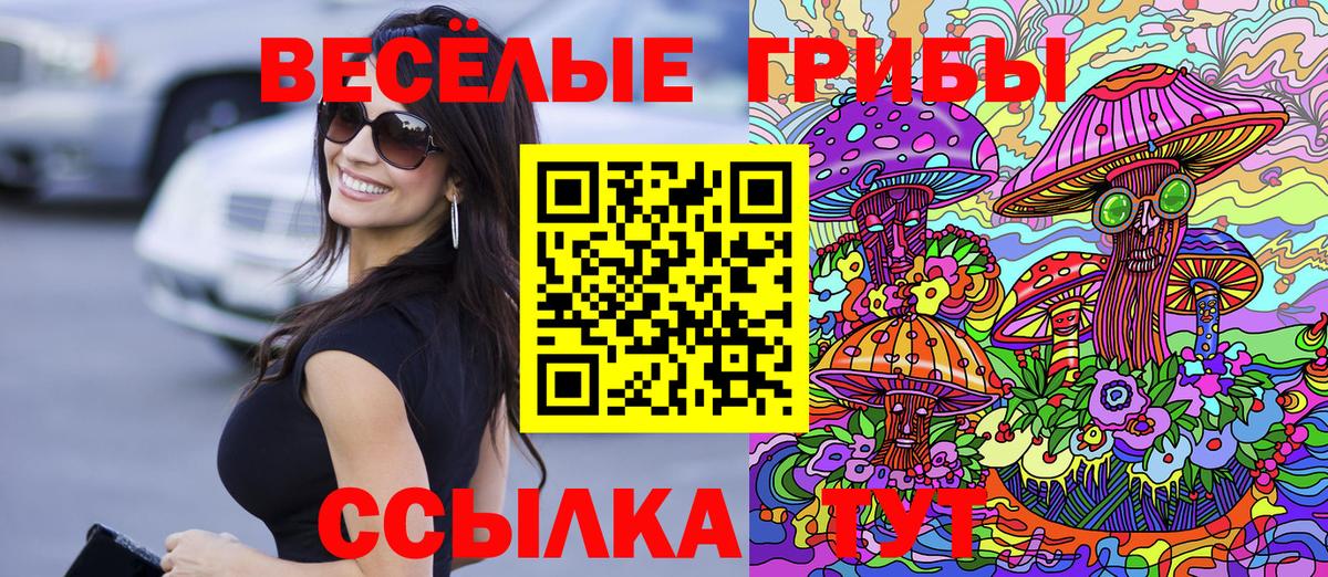 Галлюциногенные грибы ЛСД  Псилоцибиновые грибы Psilocybe  Сунжа 