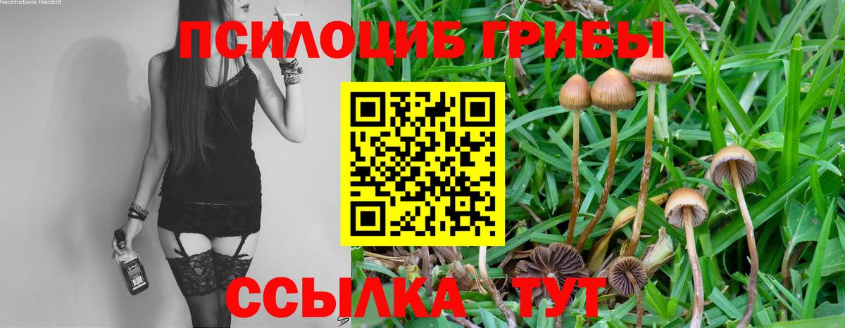 Сунжа  Галлюциногенные грибы Magic Shrooms  Галлюциногенные грибы прущие грибы  Вход с VPN 